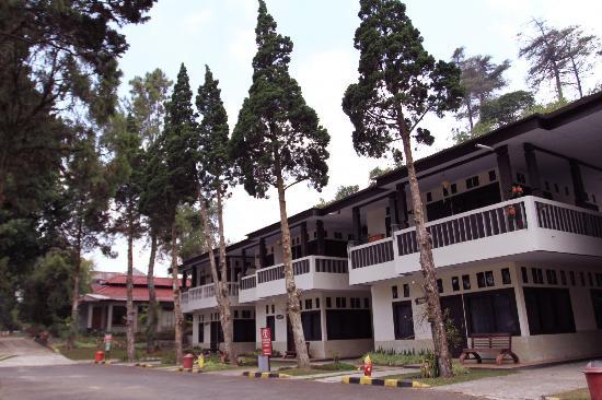 20 Penginapan Murah di Puncak Cocok Untuk Keluarga dan Ada Yang Dibawah 200 Ribu 1