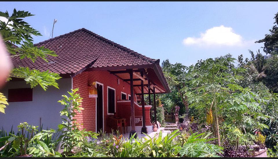 10 Rekomendasi Penginapan Murah di Ubud Dibawah 100 Ribu Bisa Untuk Backpacker 10 10 Rekomendasi Penginapan Murah di Ubud Dibawah 100 Ribu Bisa Untuk Backpacker 10