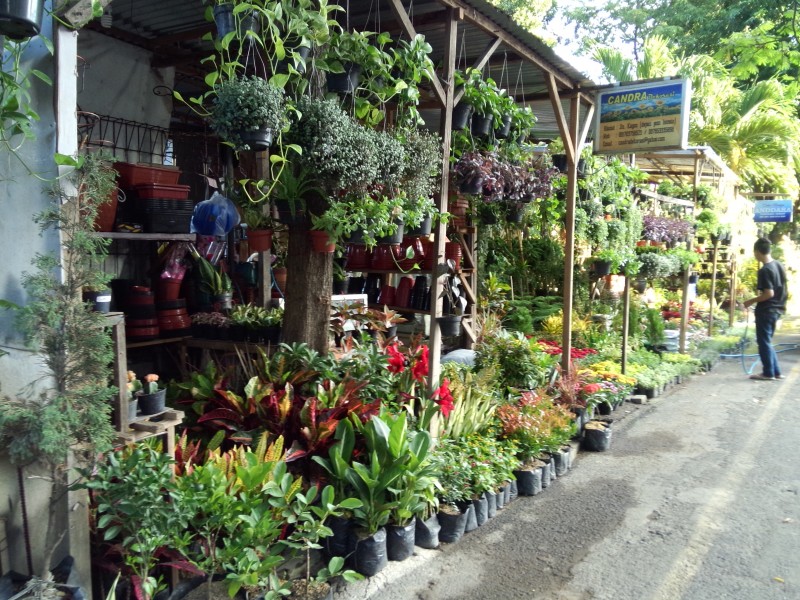 Beberapa Pilihan Tempat Wisata Belanja di Surabaya Yang Sering Diserbu Wisatawan dan Terkenal Murah 9