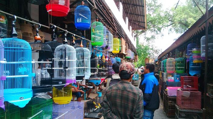 7 Rekomendasi Tempat Belanja di Daerah Solo Yang Terkenal Lengkap dan Murah, Wajib Kalian Kunjungi! 10