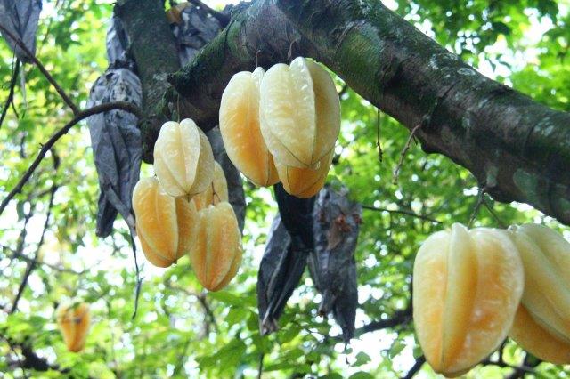 Tempat Ngabuburit di Wilayah Depok Yang Enak dan Menyenangkan, Simak Rekomendasi Berikut Ini 3 Tempat Ngabuburit di Wilayah Depok Yang Enak dan Menyenangkan, Simak Rekomendasi Berikut Ini 3