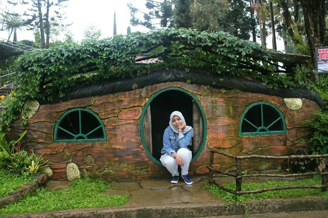 Berpetualang Ke Rumah House The Hobbit 4
