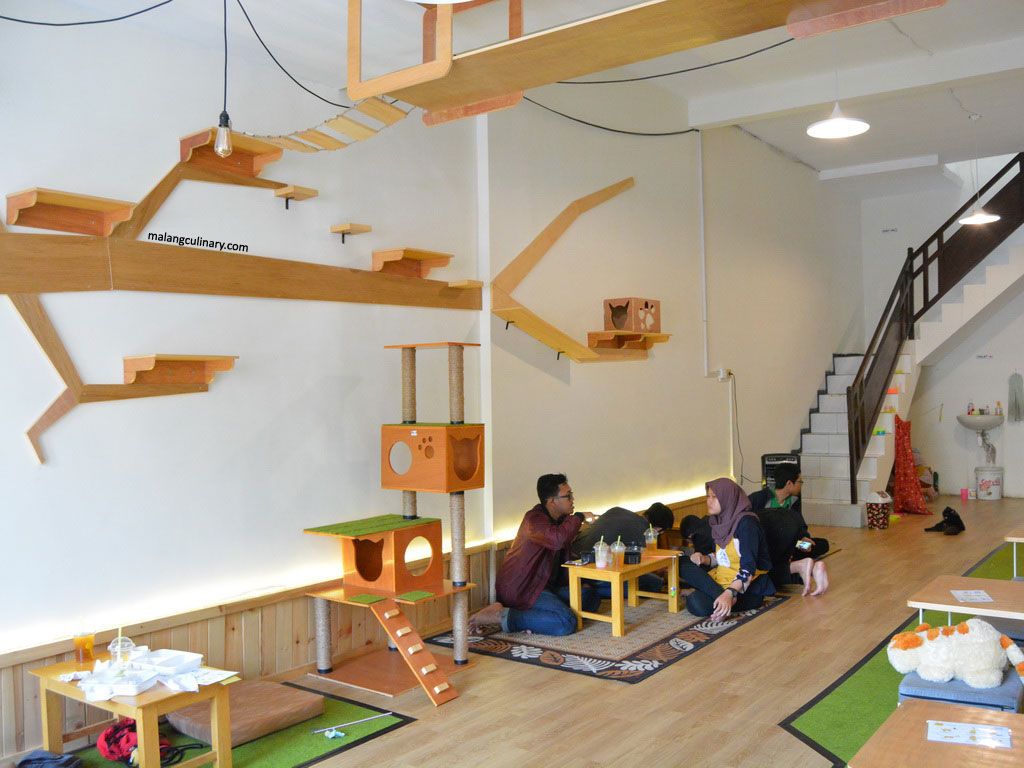 10 Referensi Tempat Nongkrong Murah di Daerah Malang Cocok Kalian Kunjungi Saat Tanggal Tua 7