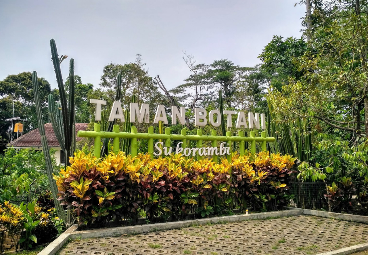 7 Tempat Ngabuburit di Daerah Jember Yang Bagus dan Keren, Simak Daftar Pilihan Berikut Ini! 2 7 Tempat Ngabuburit di Daerah Jember Yang Bagus dan Keren, Simak Daftar Pilihan Berikut Ini! 2