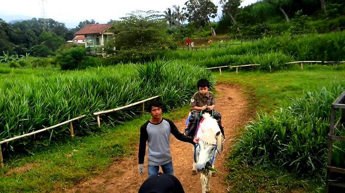 Jalan Jalan ke Kuntum Farm Field Bogor 9 Jalan Jalan ke Kuntum Farm Field Bogor 9