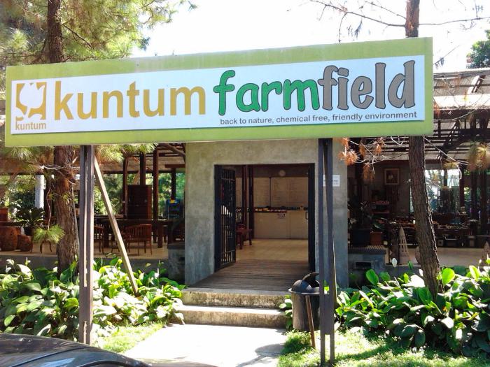 Jalan Jalan ke Kuntum Farm Field Bogor 2 Jalan Jalan ke Kuntum Farm Field Bogor 2
