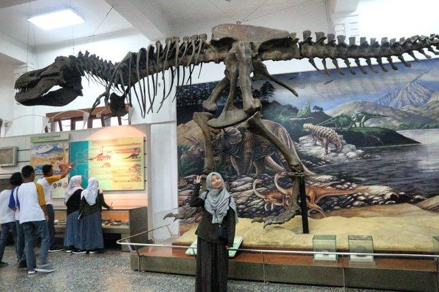 Sebutkan Ruangan Ruangan Yang Ada di Museum Geologi Bandung, Ini Dia! 2