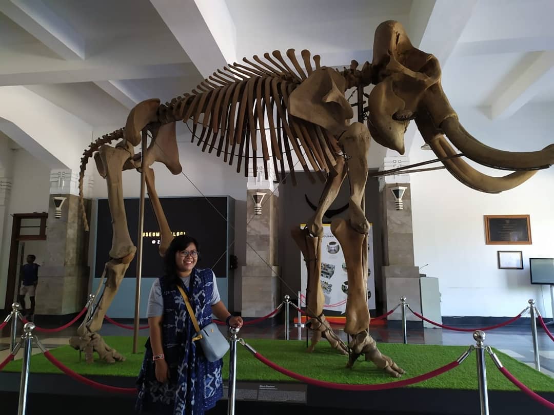 Sebutkan Ruangan Ruangan Yang Ada di Museum Geologi Bandung, Ini Dia! 7