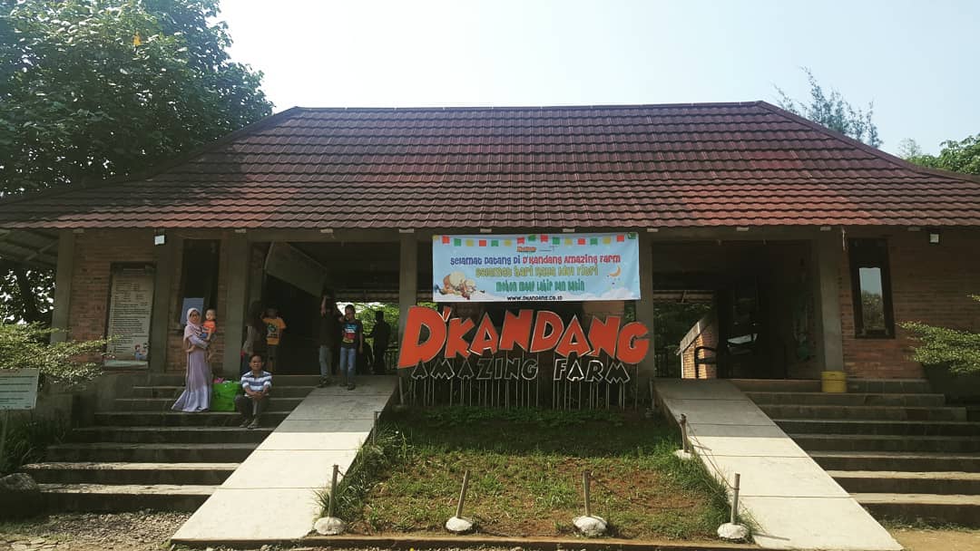 D Kandang Amazing Farm, Ajak Anak Liburan Disini 9
