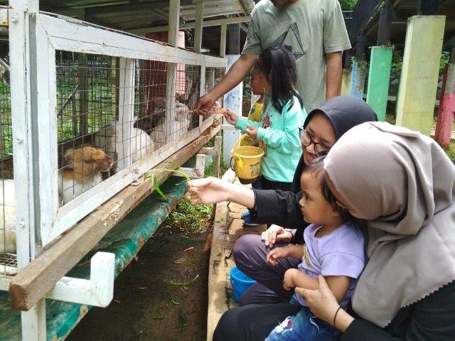 D Kandang Amazing Farm, Ajak Anak Liburan Disini 3