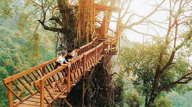 Wisata Rumah Pohon Jatiasih Bekasi TUTUP 4