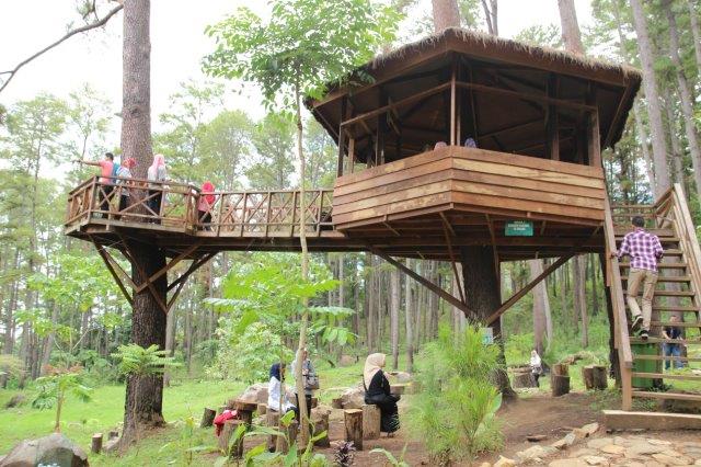 Wisata Rumah Pohon Jatiasih Bekasi TUTUP 6