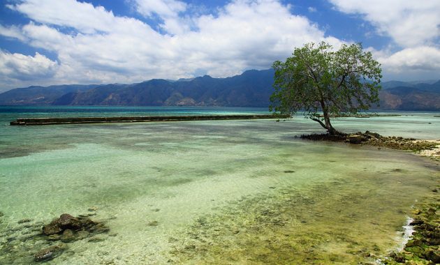 10 Referensi Pantai di Daerah NTT Yang Kecantikannya Tak Tertandingi, Cocok Untuk Liburan Saat Weekend 4