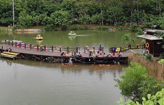 Allianz Ecopark Ancol, 9 Alasan yang Bikin Jatuh Cinta Kepada Tempat ini 1