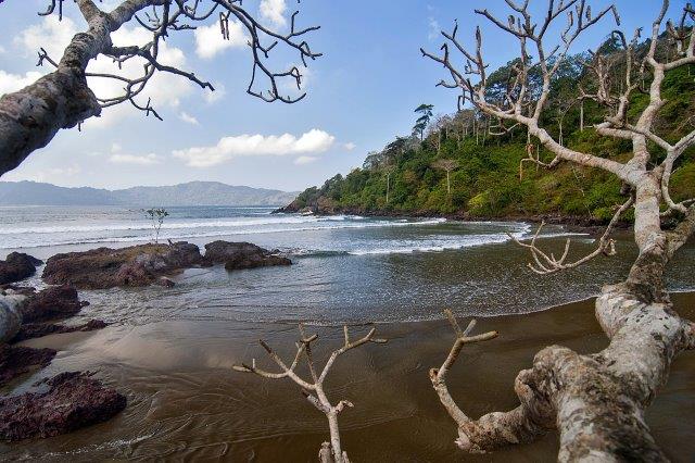 10 Pantai Bagus di Banyuwangi Wajib Dikunjungi, Mana Yang Bisa Untuk Snorkeling dan Camping? 6