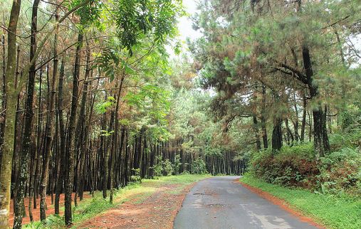 Gunung Bunder Bogor, Banyak Curug Indah Disini 8 Gunung Bunder Bogor, Banyak Curug Indah Disini 8