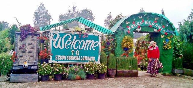 6 Alasan Kenapa Harus Piknik di Kebun Begonia Lembang Bandung 2