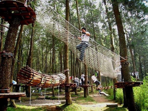 7 Hal Penting Sebelum Berlibur ke Kopeng Treetop Advanture Park 1 7 Hal Penting Sebelum Berlibur ke Kopeng Treetop Advanture Park 1