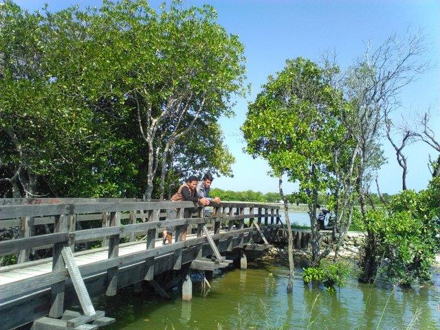 10 Pantai di Lamongan dan Sekitarnya Terkenal Indah Serta Masih Adakah Yang Tersembunyi 6 10 Pantai di Lamongan dan Sekitarnya Terkenal Indah Serta Masih Adakah Yang Tersembunyi 6