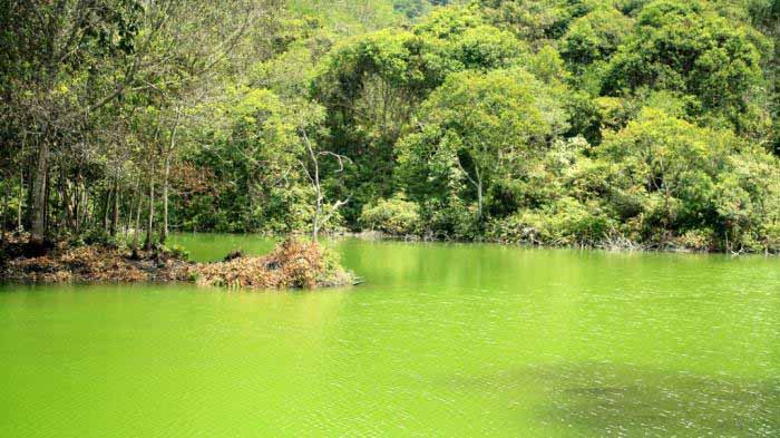 5 Daftar Pilihan Danau Yang Sangat Cantik Wajib Anda Kunjungi Saat di Daerah Lampung 3 5 Daftar Pilihan Danau Yang Sangat Cantik Wajib Anda Kunjungi Saat di Daerah Lampung 3