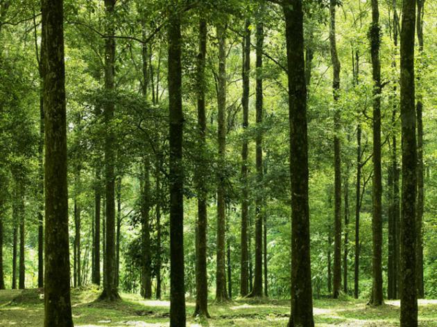 Gunung Bunder Bogor, Banyak Curug Indah Disini 7 Gunung Bunder Bogor, Banyak Curug Indah Disini 7