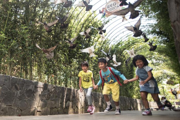 Indahnya Wisata Eco Green Park Batu 8