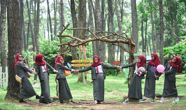 Sudah Ada Sejak Masa Kolonial Belanda, Inilah 9 Keindahan Punti Kayu Palembang 2