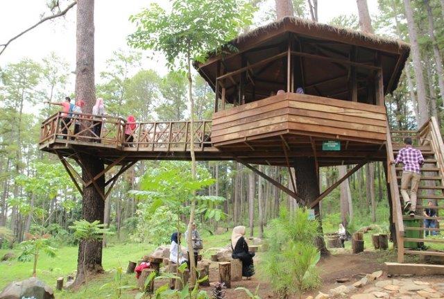 7 Keseruan yang Wajib Kita Nikmati Saat Berada di Rumah Pohon Bekasi 2 7 Keseruan yang Wajib Kita Nikmati Saat Berada di Rumah Pohon Bekasi 2