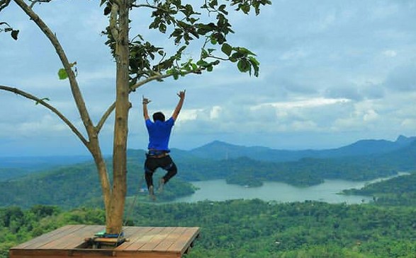 7 Informasi Penting yang Patut Kita Ketahui Tentang Kalibiru Jogja 2