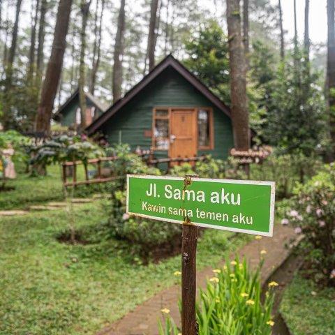 Mau Outbound Atau Camping? Ke Grafika Cikole Bandung Saja 3