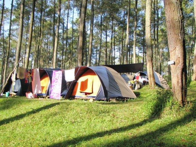 Mau Outbound Atau Camping? Ke Grafika Cikole Bandung Saja 4