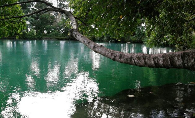 10 Referensi Wisata Danau Daerah Sumatera Utara Ini Bisa Dijadikan Destinasi Wisata Akhir Pekan Lho! 4