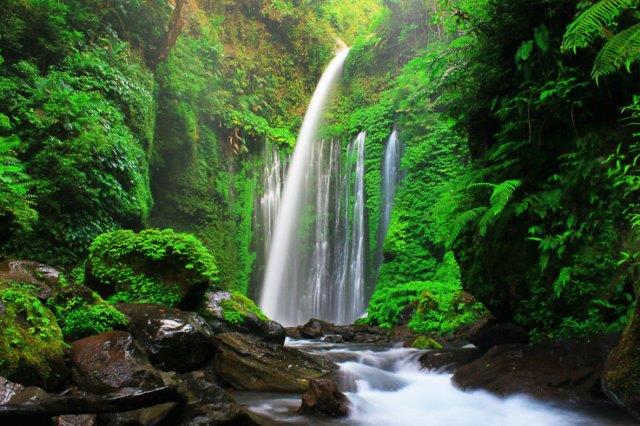 10 Daftar Tempat Wisata Air Terjun Hits di Wilayah Lombok Yang Panoramanya Sangat Bagus 8