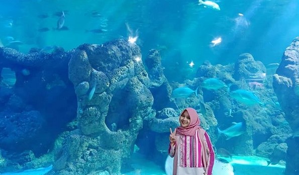 9 Alasan Mengapa Seaworld Ancol Wajib Masuk Dalam Daftar Kunjungan Kita Saat Berada di Jakarta 2