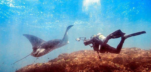 10 Rekomendasi Pantai Daerah Nusa Penida Ini Cantiknya Telah Diakui Oleh Dunia, Wajib Kalian Kunjungi! 4 10 Rekomendasi Pantai Daerah Nusa Penida Ini Cantiknya Telah Diakui Oleh Dunia, Wajib Kalian Kunjungi! 4