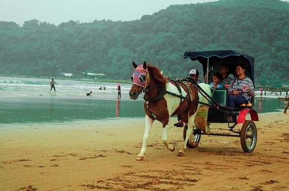 10 Daftar Objek Wisata Pantai Terdekat Dari Madiun Jawa Timur Ini Cocok Banget Buat Dikunjungi 8 10 Daftar Objek Wisata Pantai Terdekat Dari Madiun Jawa Timur Ini Cocok Banget Buat Dikunjungi 8