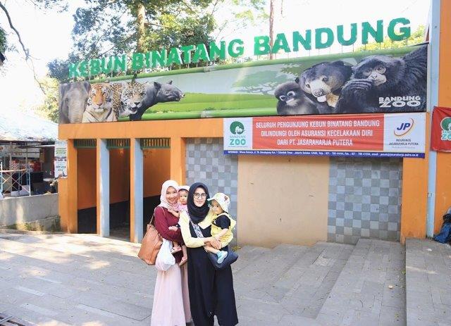 Ini Dia Suasana Kebun Binatang Bandung 3 Ini Dia Suasana Kebun Binatang Bandung 2