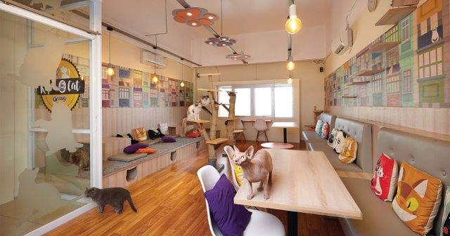 6 Rekomendasi Cafe Cantik di Daerah Tangerang Selatan Yang Cocok Untuk Hangout Bareng Teman Kalian 2 6 Rekomendasi Cafe Cantik di Daerah Tangerang Selatan Yang Cocok Untuk Hangout Bareng Teman Kalian 2