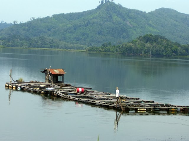 10 Referensi Wisata Danau Daerah Sumatera Utara Ini Bisa Dijadikan Destinasi Wisata Akhir Pekan Lho! 8
