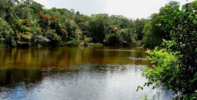 10 Referensi Wisata Danau Daerah Sumatera Utara Ini Bisa Dijadikan Destinasi Wisata Akhir Pekan Lho! 9