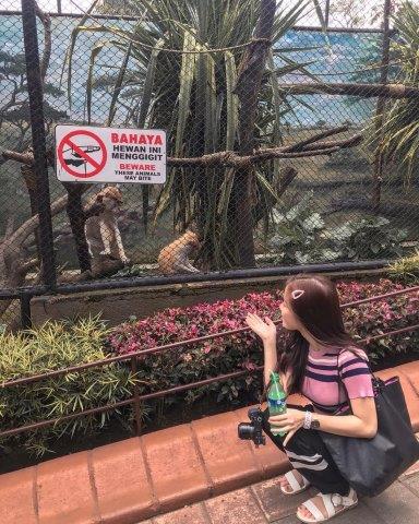 Jatim park 2 malang 2025 daftar wahana di tiket batu hotel buka jam harga kolam renang no telp weekend website wikipedia voucher villa vs yang dekat asal usul masuk untuk anak traveloka terusan sekitar secret zoo suasana review oktober online near kota jawa timur 65315 loker lowongan promo bagus mana alamat beda pukul wisata hewan permainan ada apa saja dalam bahasa inggris dan eco green cerita cfc city east java boleh bawa makanan restoran atau isinya aja adalah deskripsi lamongan ke jarak museum angkut januari juni