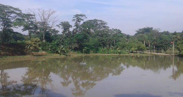 10 Daftar Pilihan Danau di Daerah Jakarta Ini Sangat Cantik Untuk Dijadikan Destinasi Wisata 8