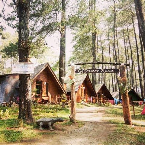 Mau Outbound Atau Camping? Ke Grafika Cikole Bandung Saja 7