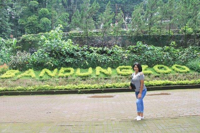 Ini Dia Suasana Kebun Binatang Bandung 6 Ini Dia Suasana Kebun Binatang Bandung 5