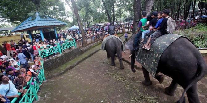 Ini Dia Suasana Kebun Binatang Bandung 7 Ini Dia Suasana Kebun Binatang Bandung 6