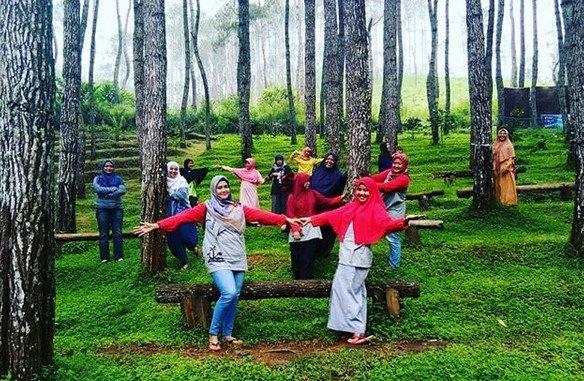 Berlibur Mendekat dengan Alam di Wana Wisata Kampoeng Ciherang 2 Berlibur Mendekat dengan Alam di Wana Wisata Kampoeng Ciherang 2