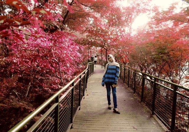 Harga Tiket Masuk dan Jalan Menuju Babakan Siliwangi Bandung 7