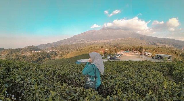 Wisata Kebun Teh Kemuning Karanganyar 3