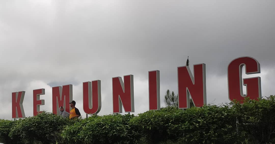 Wisata Kebun Teh Kemuning Karanganyar 2