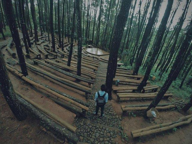 Hutan Pinus Imogiri Mangunan Dlingo Bantul Yogyakarta 3 Hutan Pinus Imogiri Mangunan Dlingo Bantul Yogyakarta 3